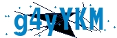 recaptcha