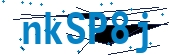 recaptcha