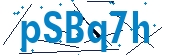 recaptcha